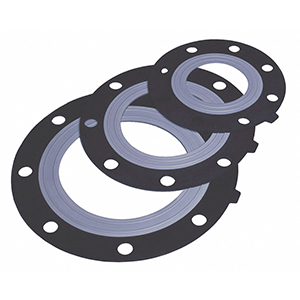 EDPM Flange Gasket