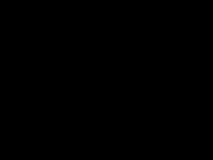 Garlock 9938 Fluoroelastomer (FKM) Rubber